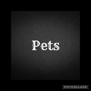 Pets